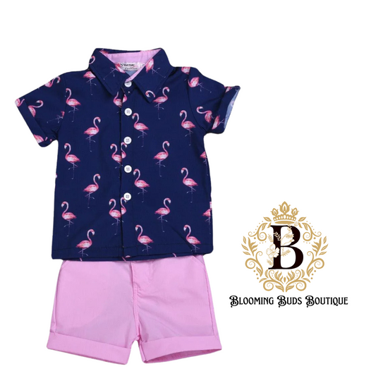 Toddler Boys Flamingo Print Short Set